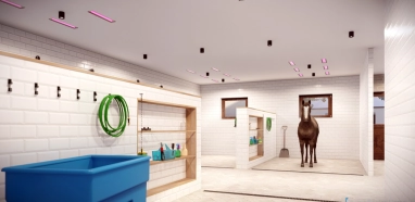 umývanie koní a solárium